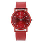 Casual Ladies Watch