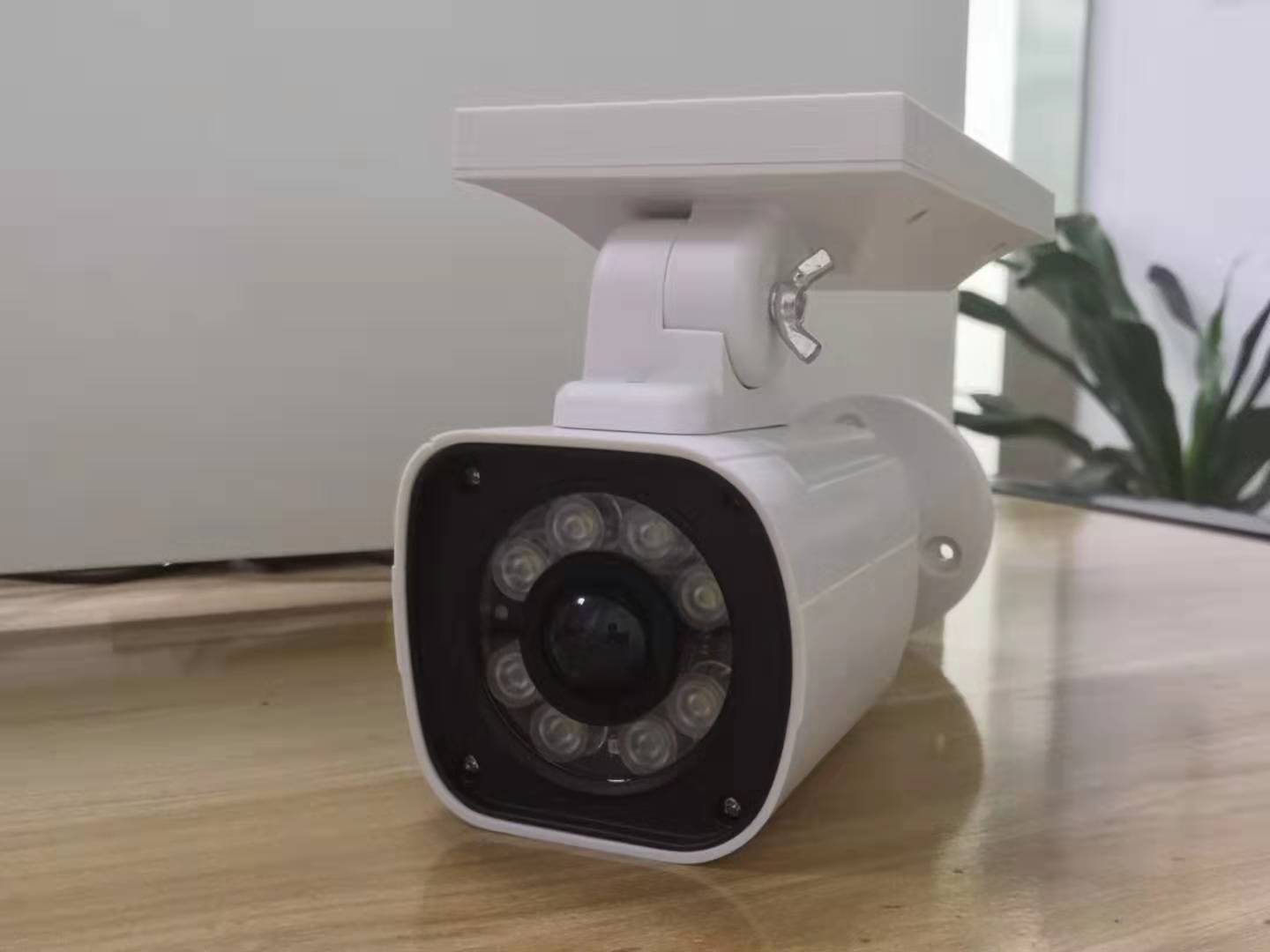 Solar-Powered Security Light with Simulated Camera